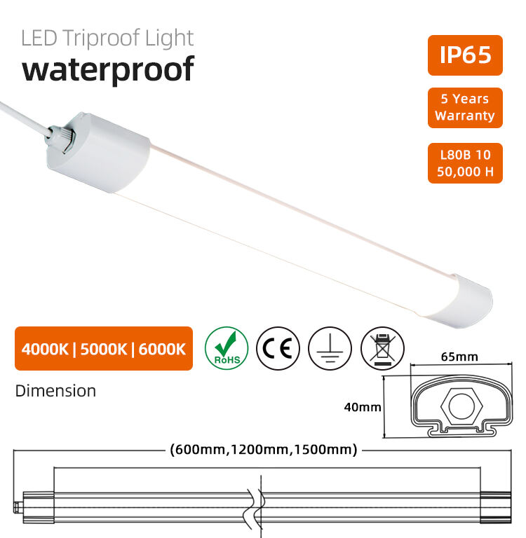 TP011 manufacture