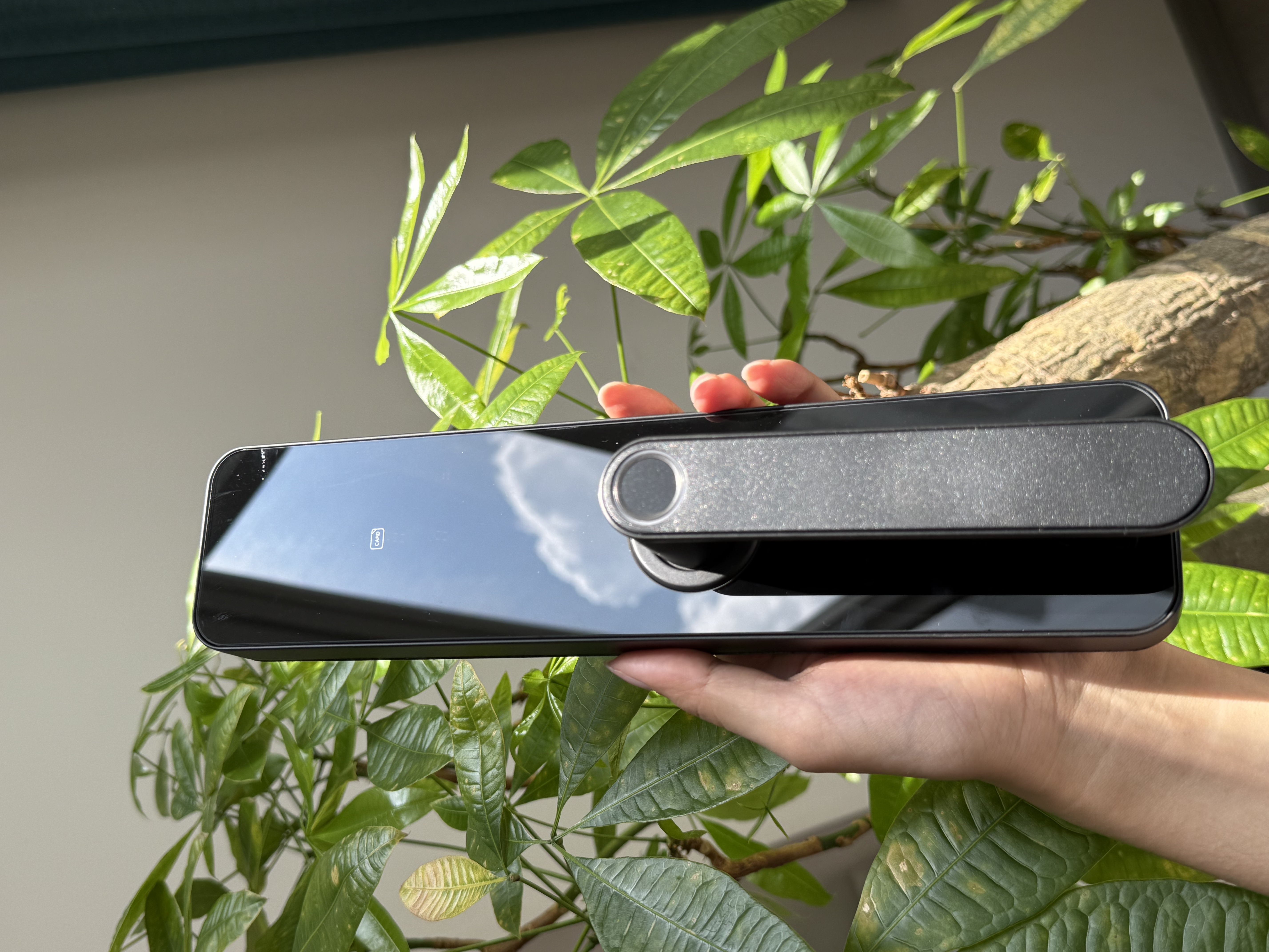 Beyond the Key: LaDing Technology Redefines Wood Door Security with Smart, Customizable Solutions