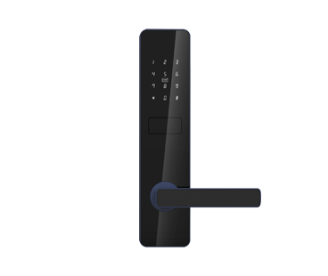 11.png