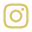 Ins  