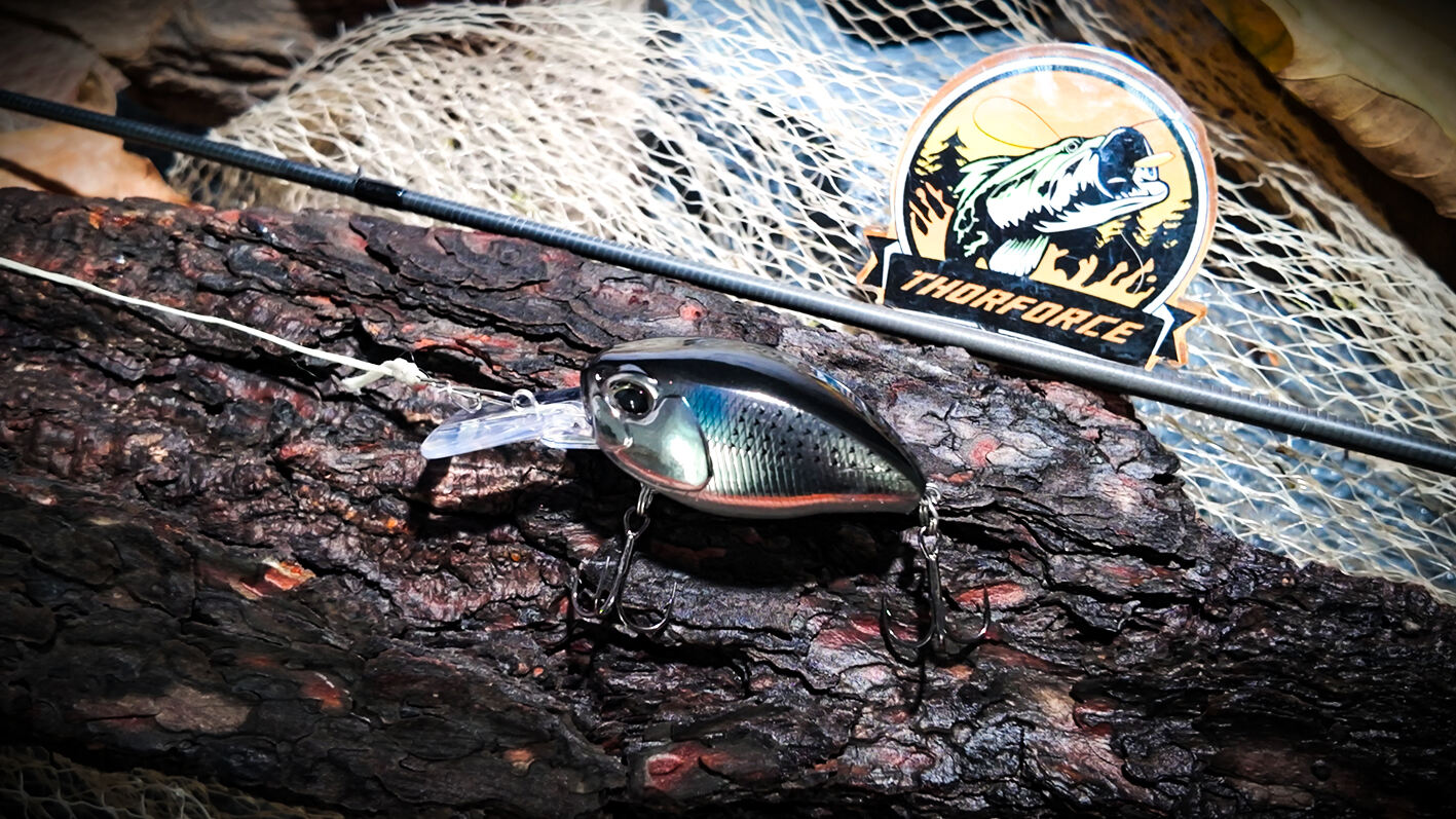 crankbait 6186