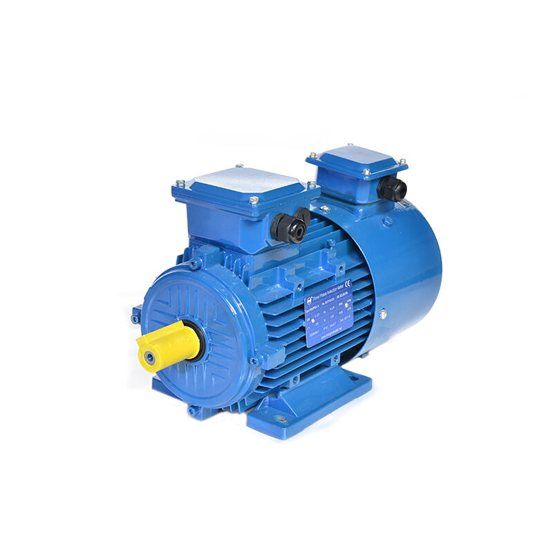 Moteur électrique à inversateur de fréquence intégré