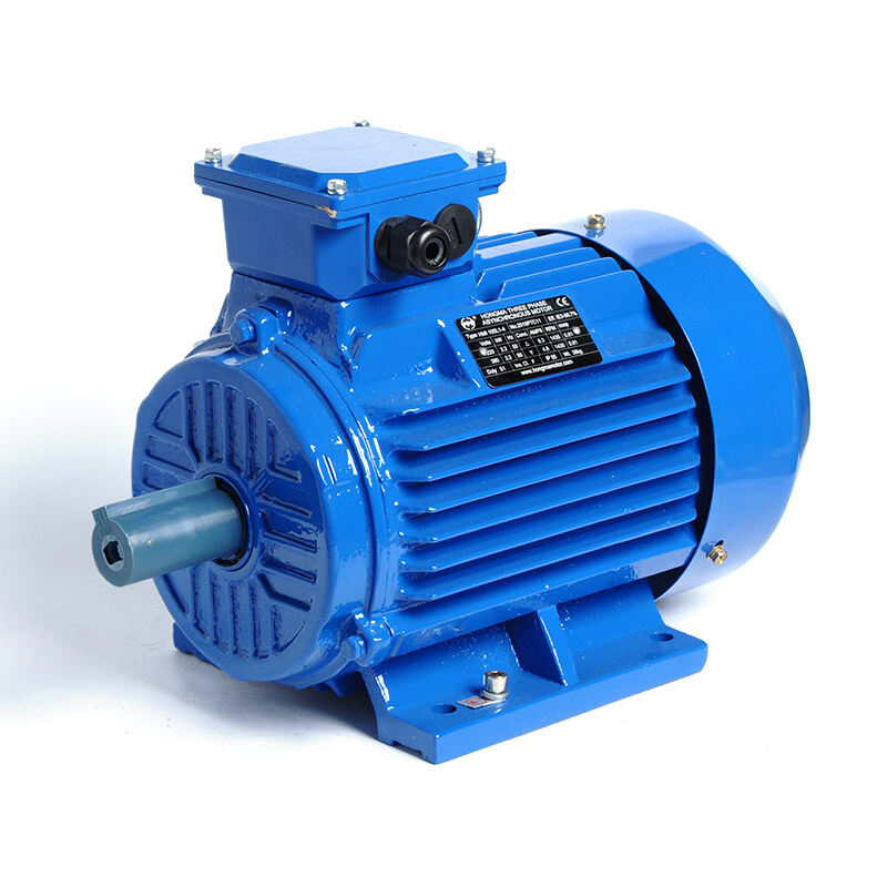 HM1-160M-6P-7.5KW/10HP-B3