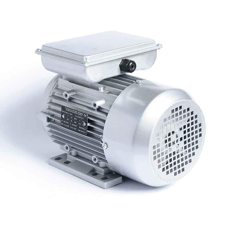YL/YCL Series Two Capacitors Start-runing Motor
