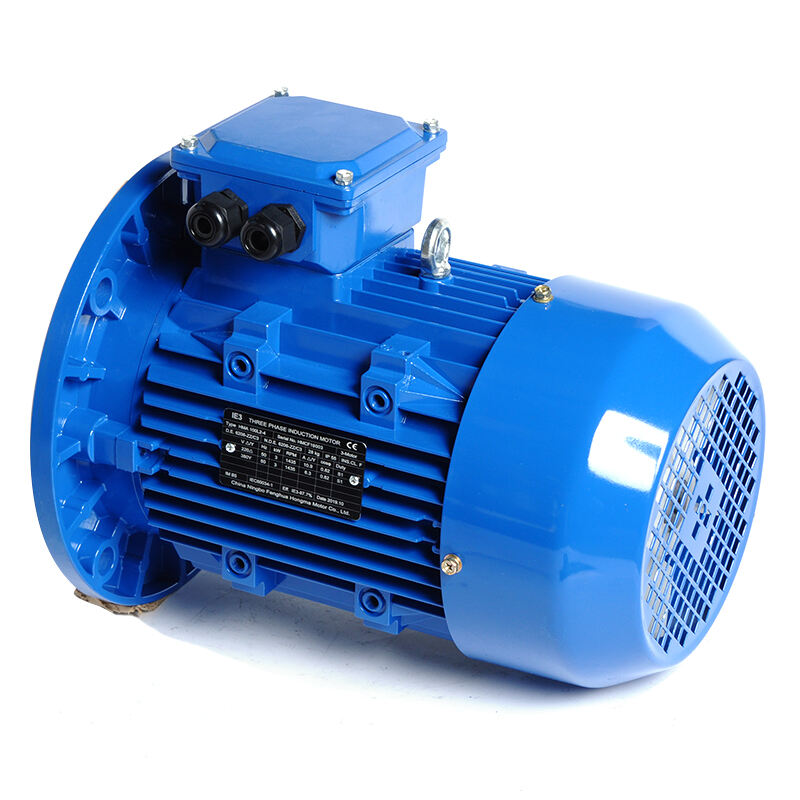 HM1-100L-2P-3KW/4HP-B5