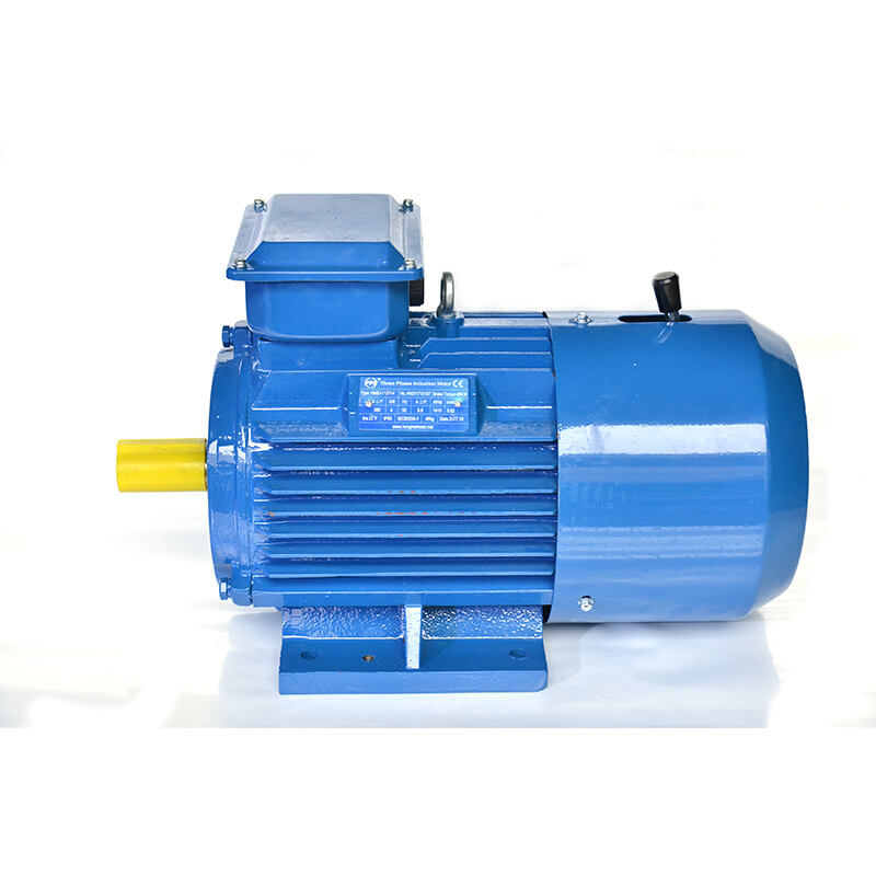 Moteur asynchrone triphasé à freinage électromagnétique