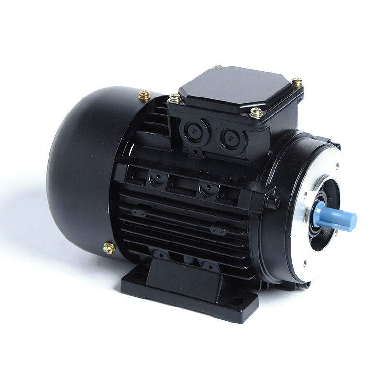 HM1-90S-2P-1.5KW/2HP-B34