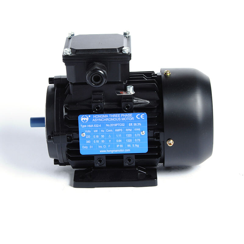 Moteur électrique asynchrone à efficacité standard