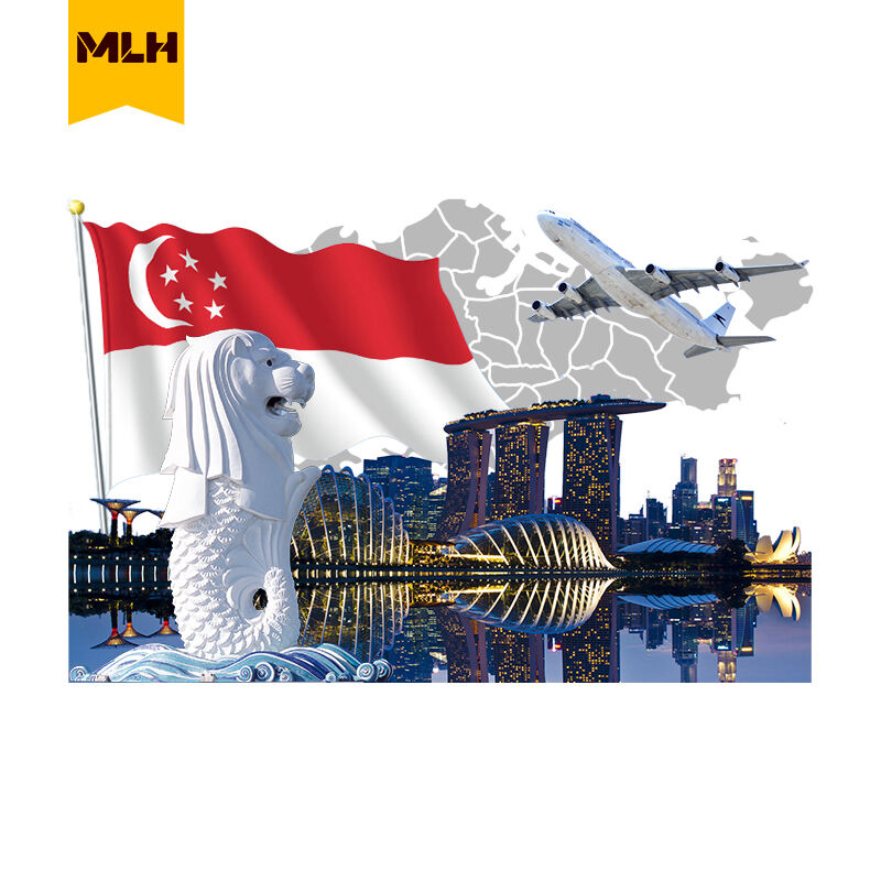 Надежден превозвач със застраховка от Китай до Сингапур