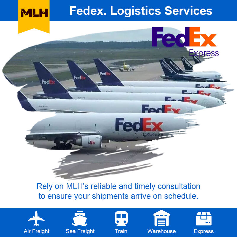 포괄적인 통관 지원