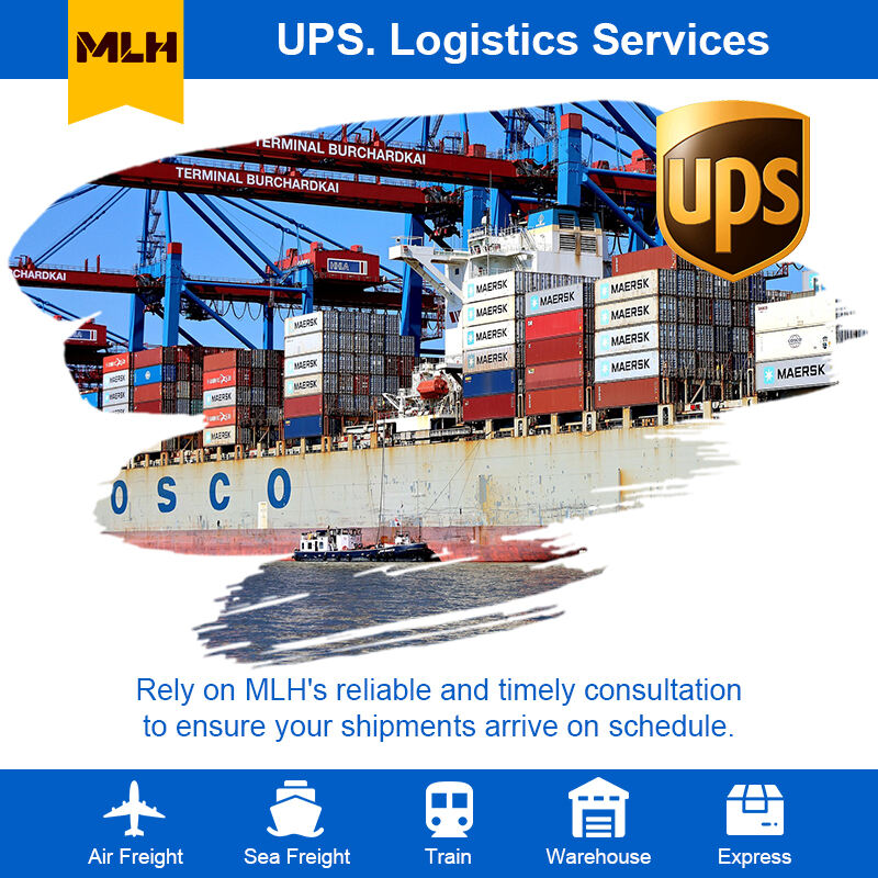 글로벌 물류를 위한 LCL 익스프레스 및 배송 솔루션