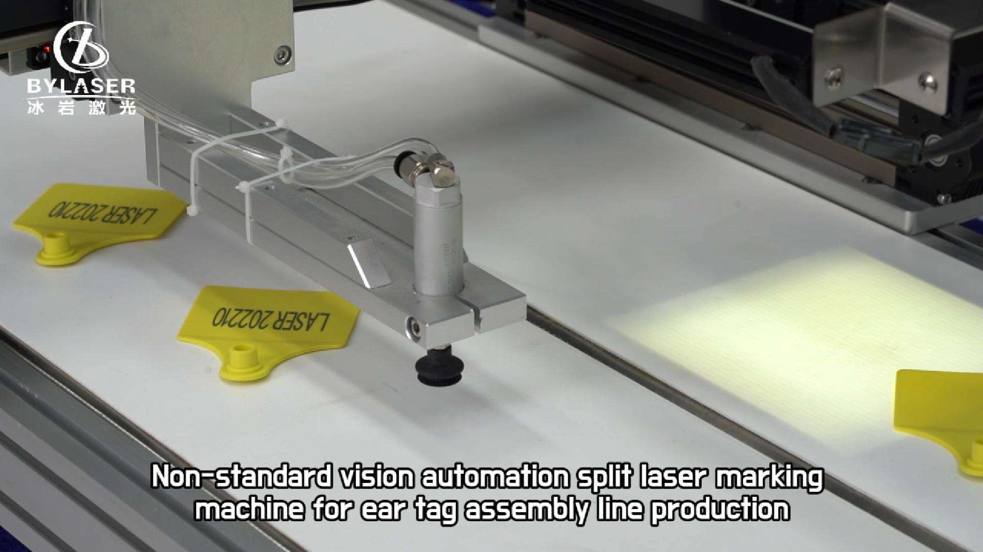 Non-standard vision automation split laser marking machine for ear tag assembly line production