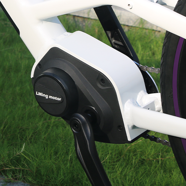 How to Choose the Right Electric Cycle Motor Kit for Your Business Needs