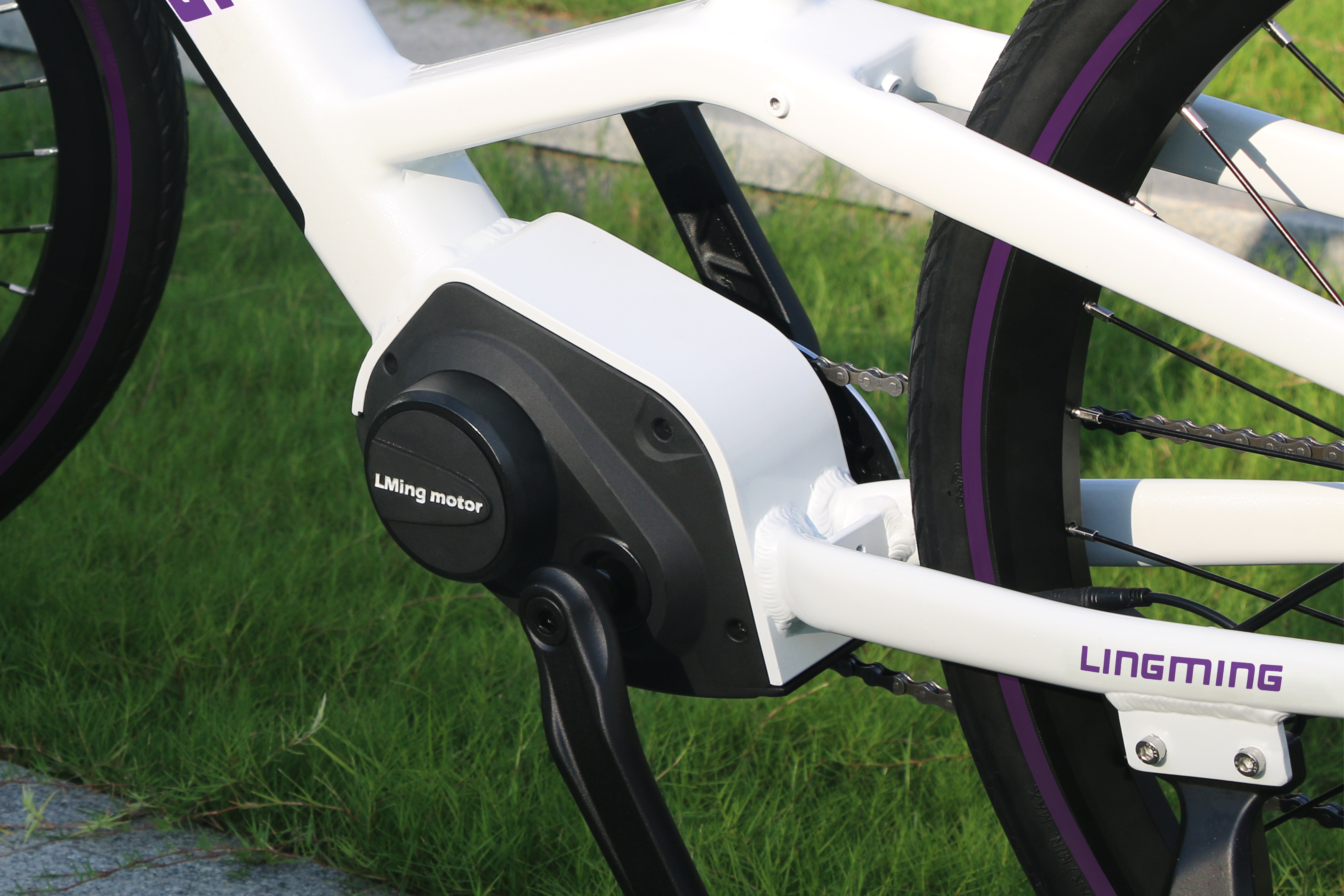 Ra mắt Giải pháp Xe đạp Điện Trung tâm Dẫn Động LMM-System Đổi mới