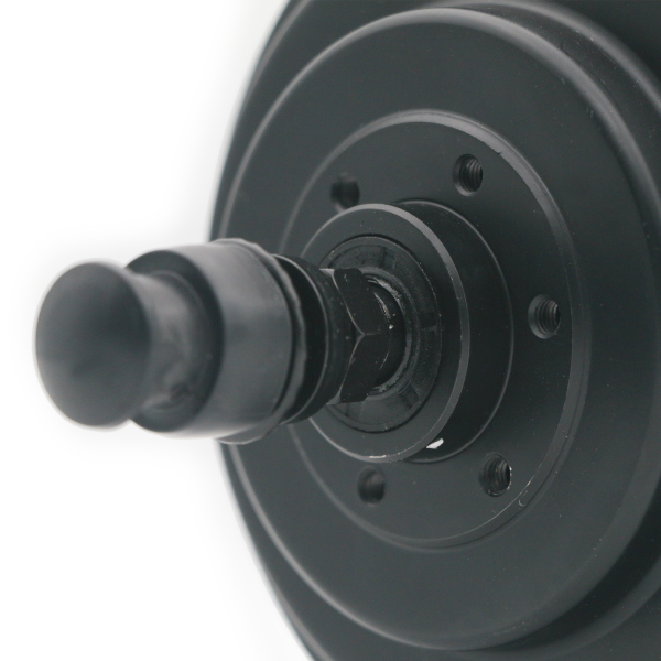 What Features to Look for in a Wholesale 36V 250W Motor