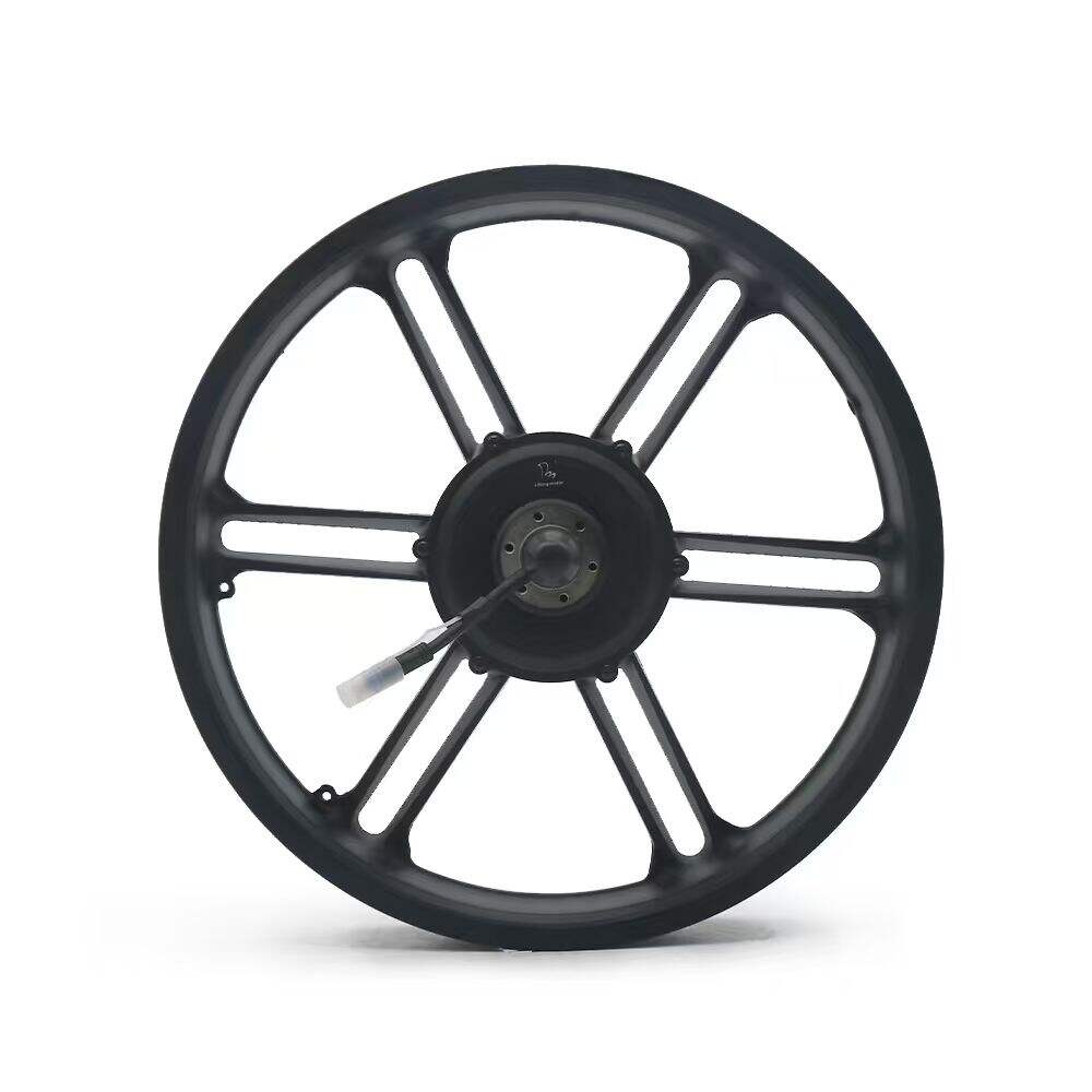 What Are Common Usage Issues with E-Bike Electric Motors and How to Solve Them?