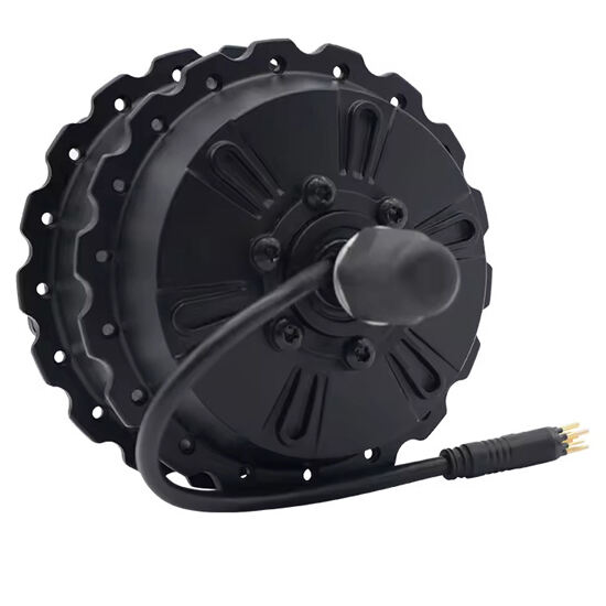 250W Electric Bicycle Spoke Hub Motor