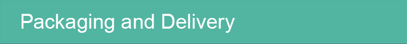 13.png