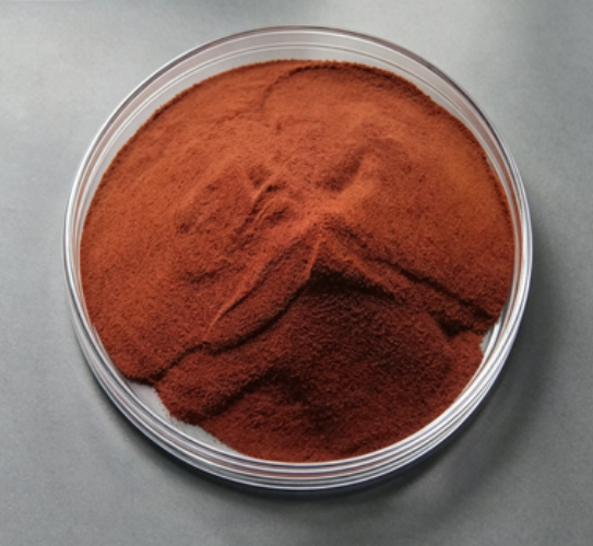 Where to Buy Povidone for Dogs at Competitive Prices