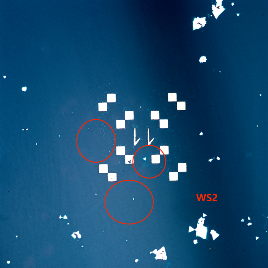6.png