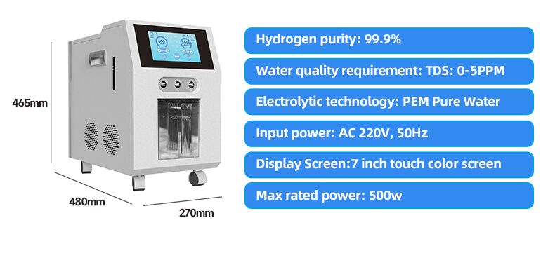 3000ml Hydrogen Inhaler (1).jpg