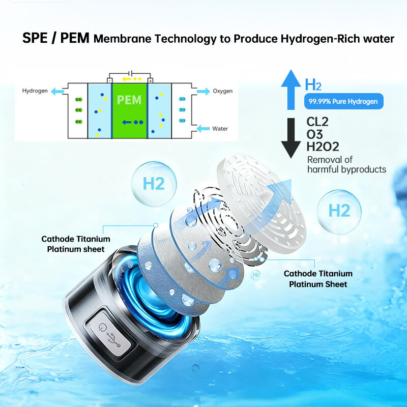 Comprehensive Safety Systems for Worry-Free Operation