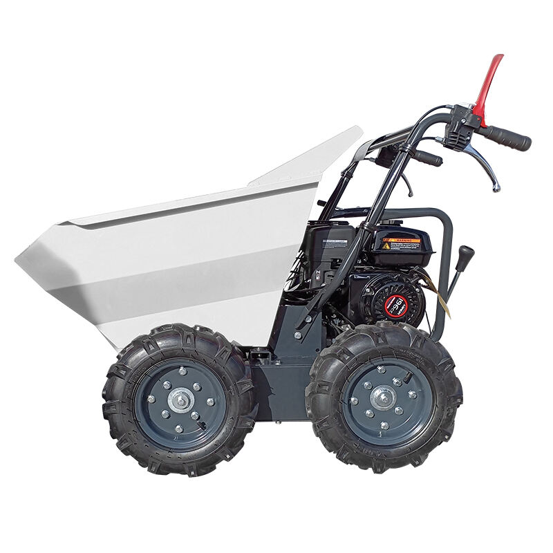 LW-300