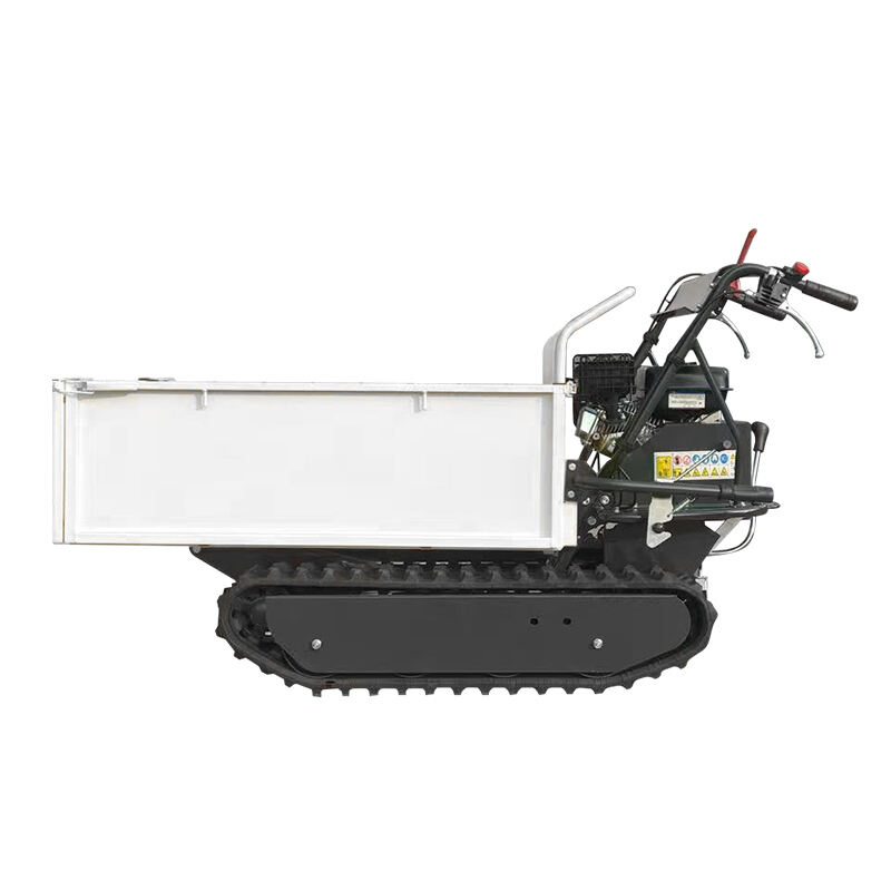 LW-300Y