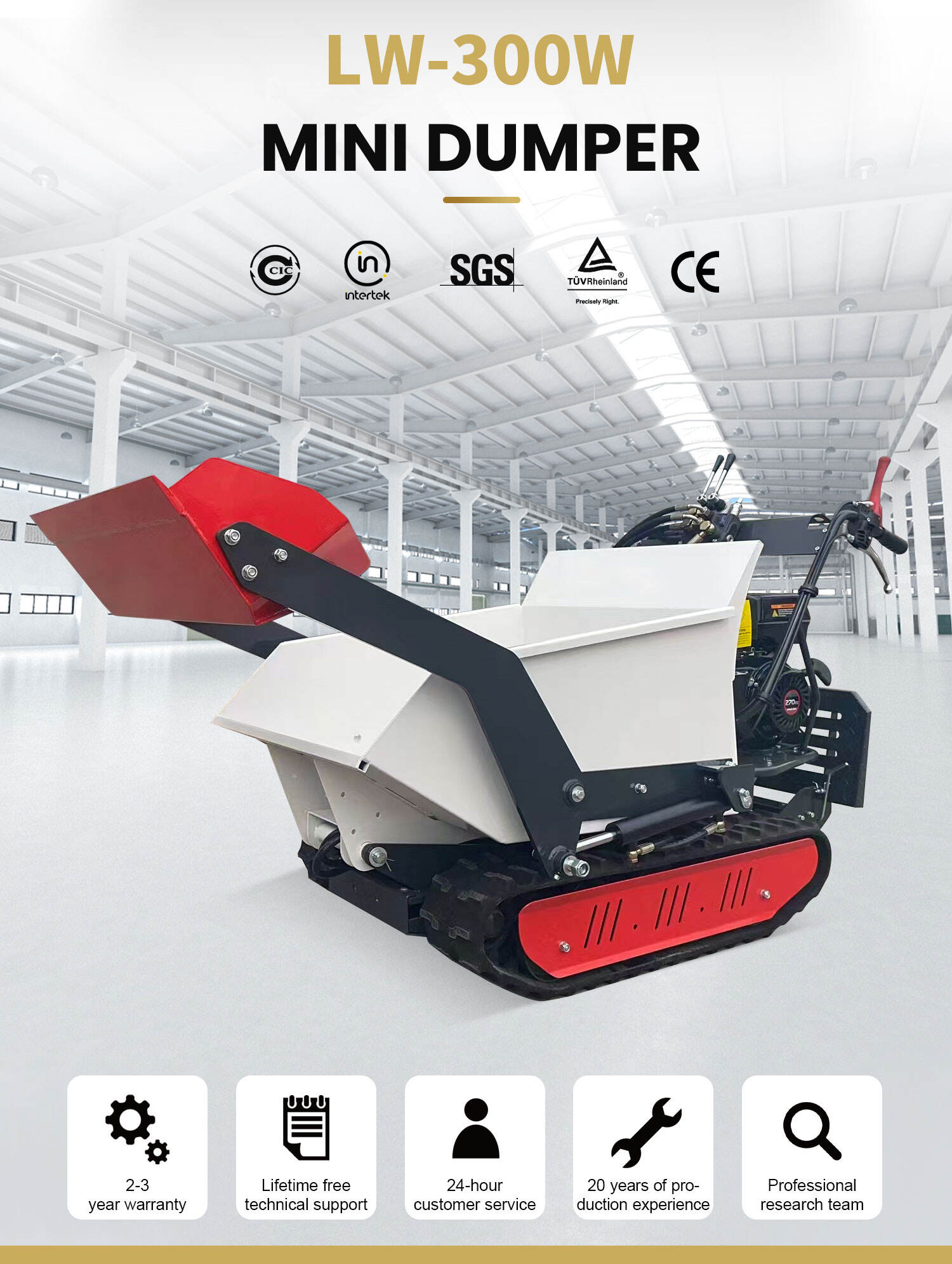 LW-300W factory