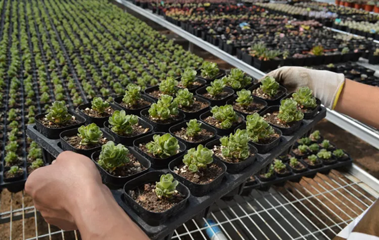 Accelererad tillväxt och förbättrad produktivitet