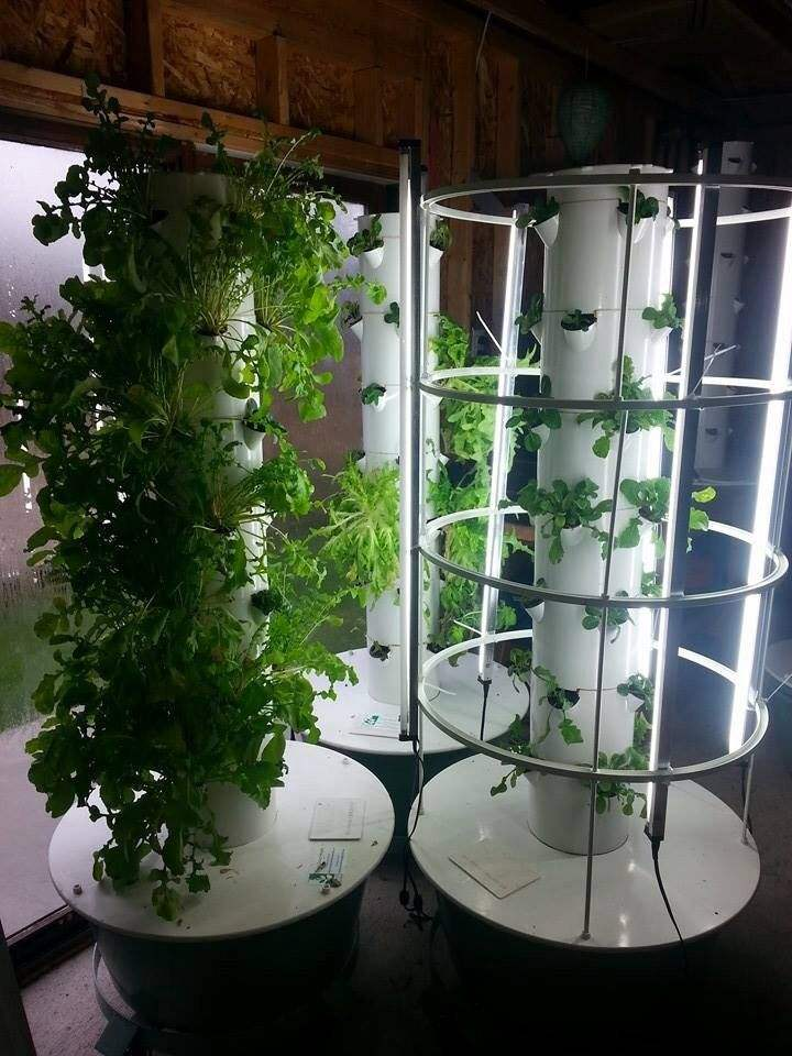 Advanced Nutrient Delivery and Control Systems