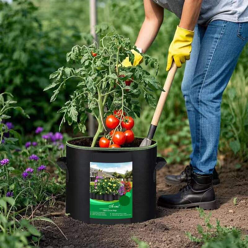 Superior Drainage and Moisture Management System