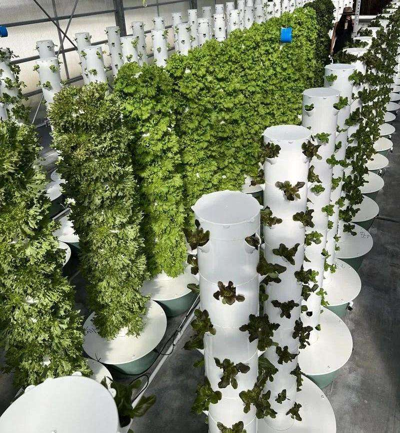 Revolutionary Space Optimization Technology