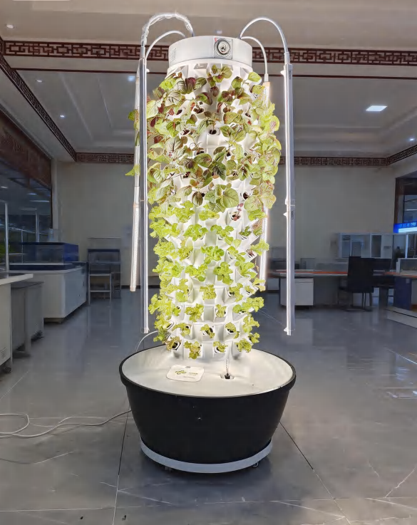 Portabilité inégalée et optimisation de l’espace pour le jardinage moderne