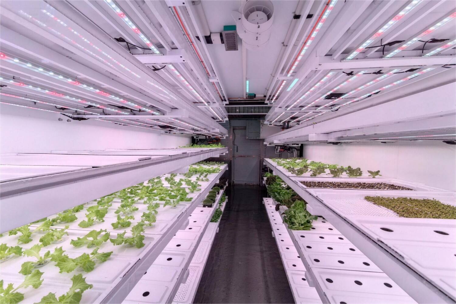 Planting Containers: Unlocking New Possibilities for Smart Agriculture ...