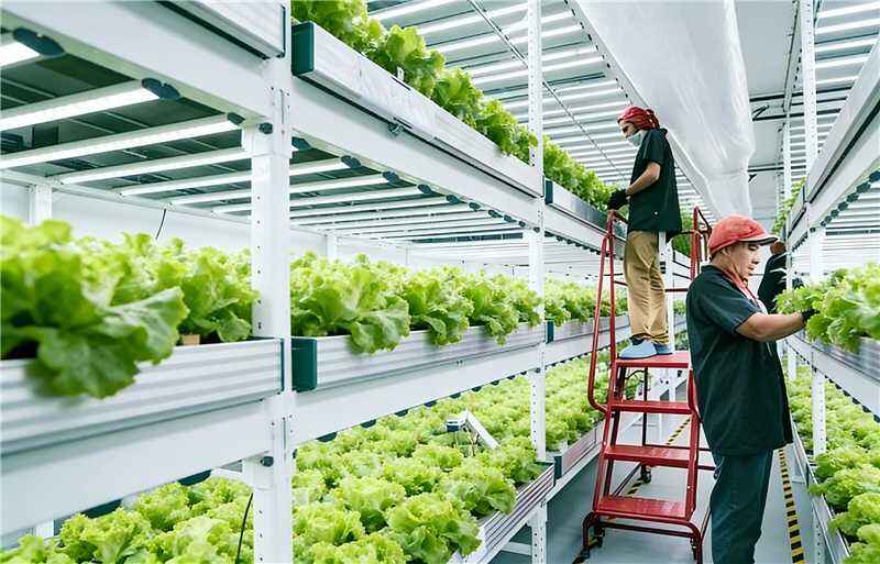 Spatia cultus tridimensionalia