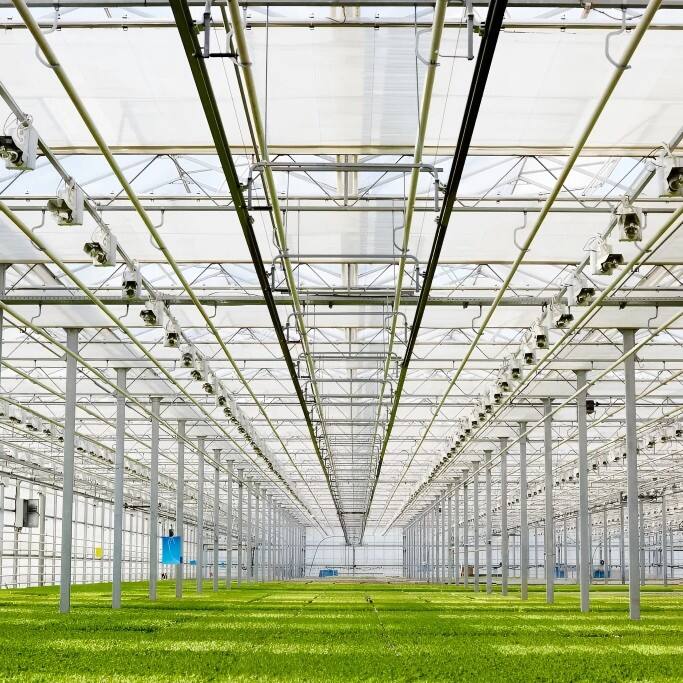 Machinae Agriculturae Verticalis, Cultura in Serris et Hydroponica: Futurum Agriculturae Reformantes