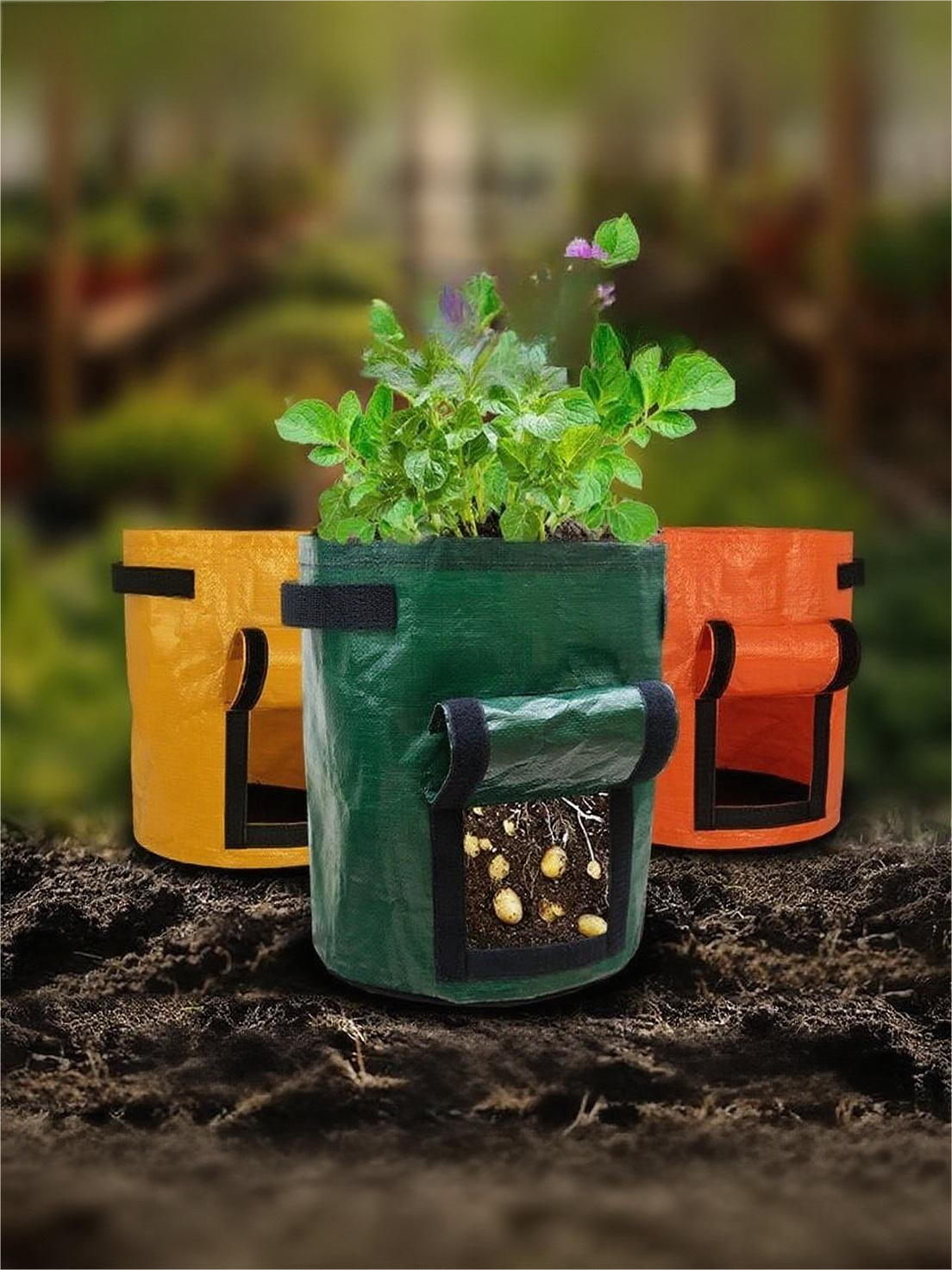 Maximized Space Utilization and Vertical Growing Capacity