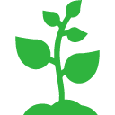 Year-Round Crop Production: 