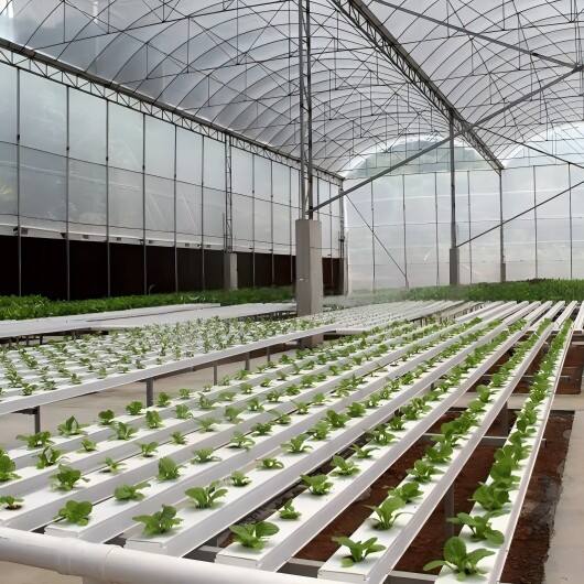 Agricultura Verticalis Hydroponica: Mercata Legalis Cultivationis per Totum Mundum Potentiora Faciens