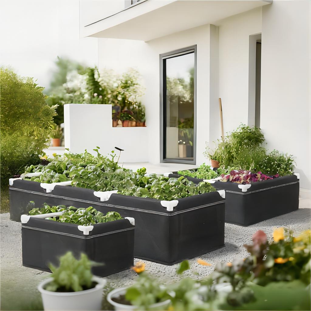 Revolutionary Air-Pruning Technology for Enhanced Root Development