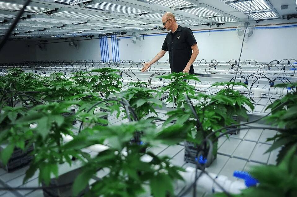 Vertical Farming Machines, Greenhouse Cultivation & Hydroponics (3).jpg