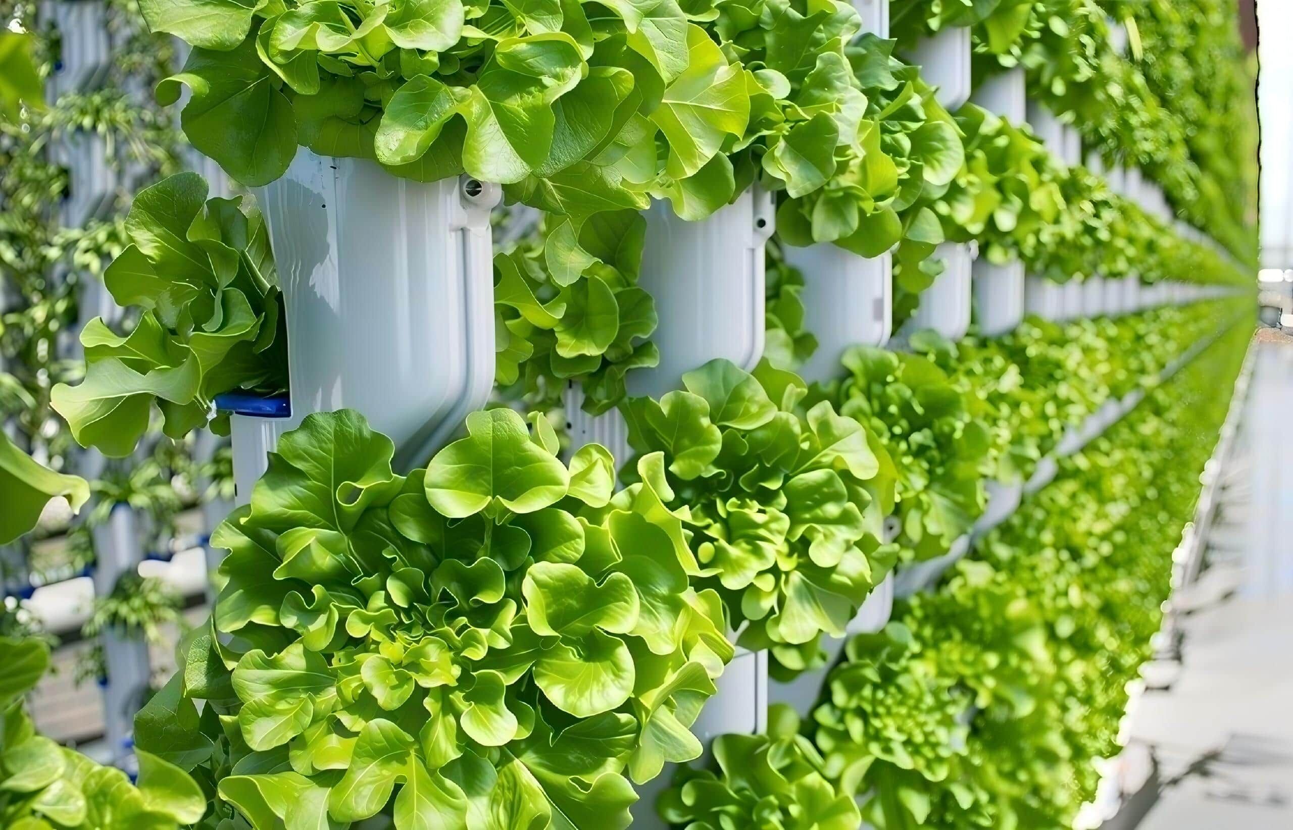 Systemata agricolae verticalis