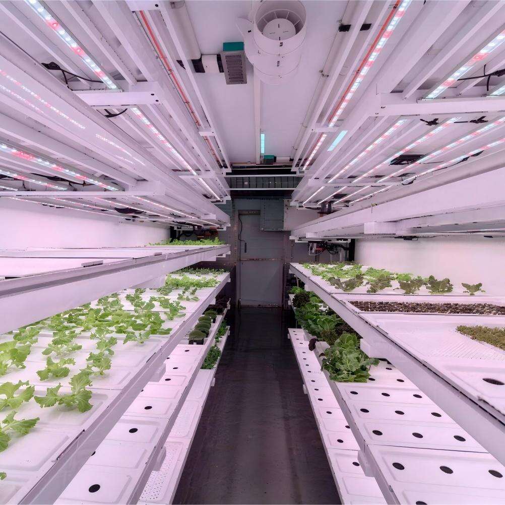 Contentores Plantationis: Novas Possibilitates Agriculturae Intelligens Aperiens, Spatia Plantationis Efficiens et Mobilis Creans