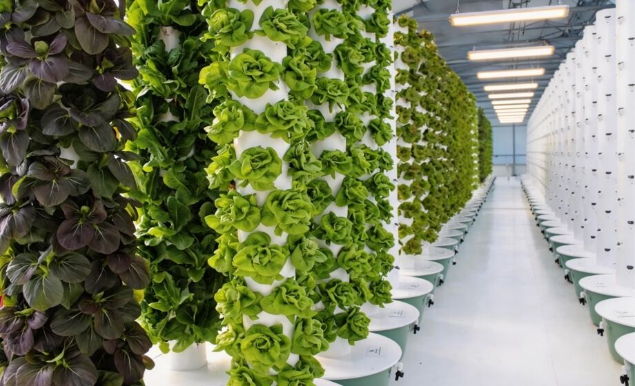 Turris Hydroponica Modularis – Agricultura Verticalis Efficiens