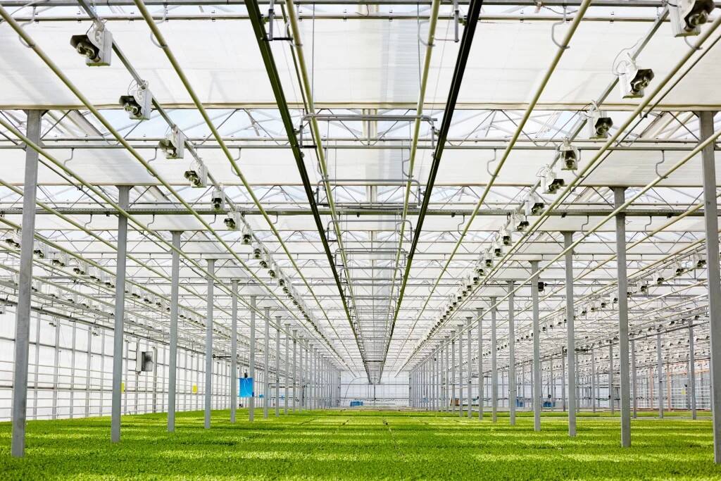 Vertical Farming Machines, Greenhouse Cultivation & Hydroponics (2).jpg