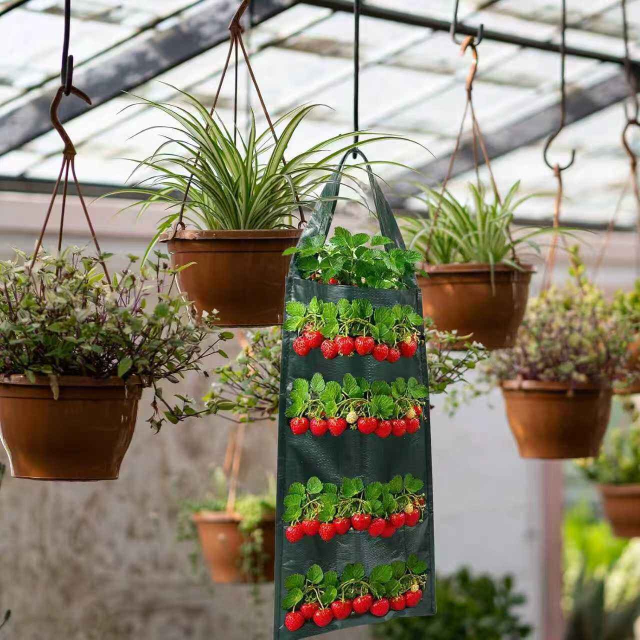 Versatile Growing Applications and Year-Round Productivity