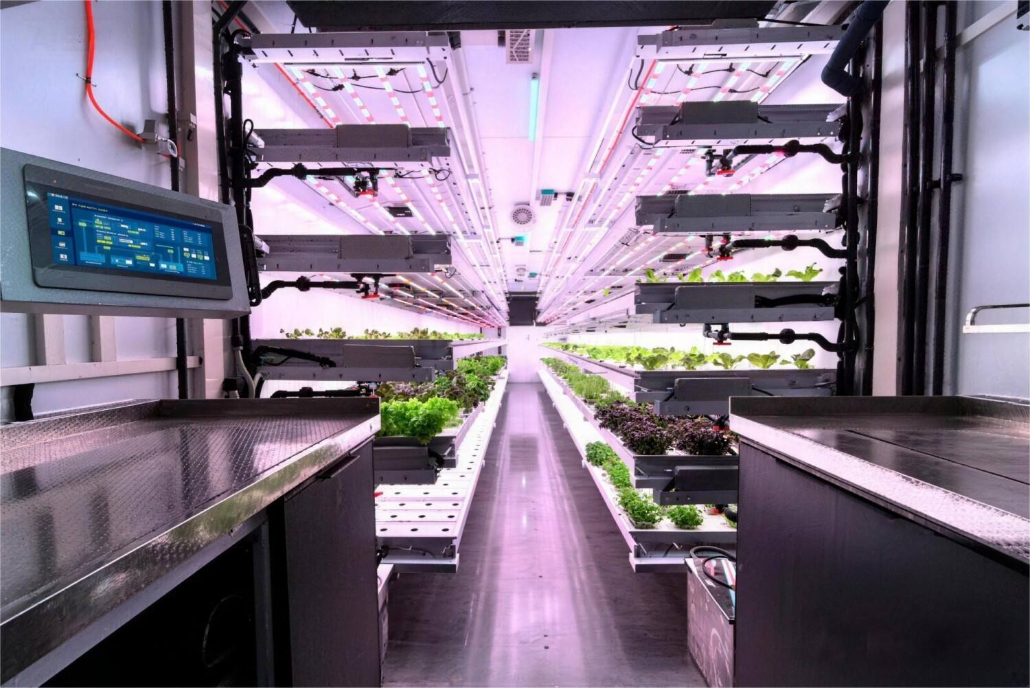 Planting Containers (1).jpg