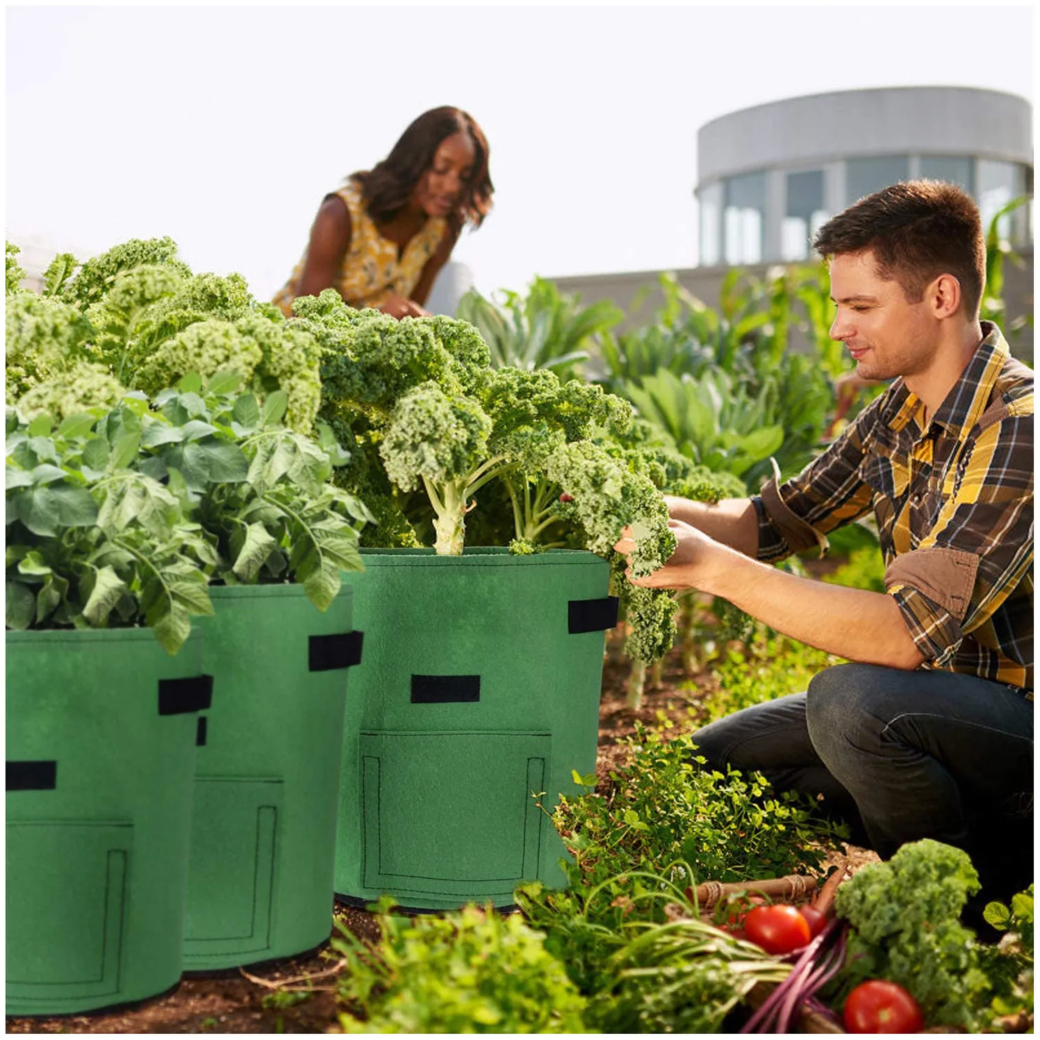 Year-Round Growing Independence and Climate Control