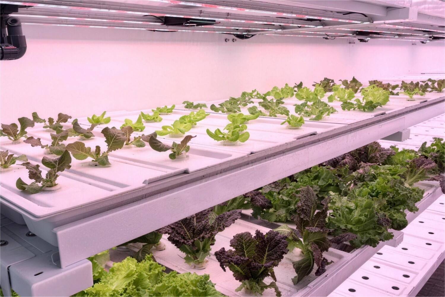 Planting Containers (5).jpg